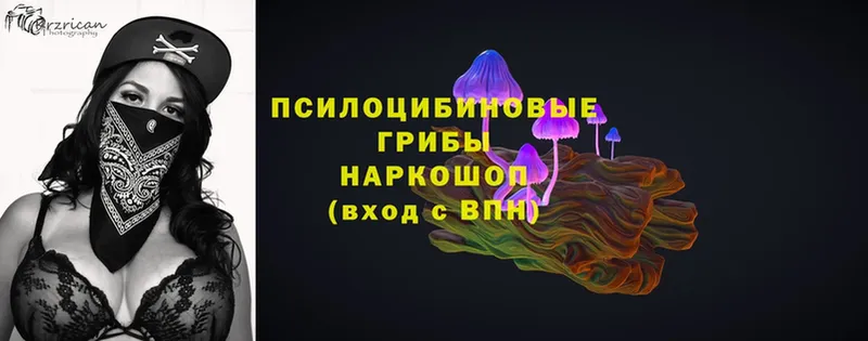 ОМГ ОМГ вход  что такое   Великие Луки  Псилоцибиновые грибы Magic Shrooms 